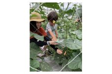 農家に変身！ 収穫・農業体験　3名様