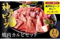 神戸牛 食べ比べ 焼肉セット 合計1.1kg【肩・モモ 600g+切り落とし牛カルビ 500g】/ 焼肉用 牛肉 切り落とし 牛 肉 焼肉 肩 モモ 赤身 黒毛和牛 霜降り 国産牛 焼き肉 カルビ 神戸ビーフ TYY3 太田牧場【但馬牛太田家】【レビューキャンペーン対象商品】