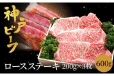 神戸牛 ロースステーキ 600g【200g×3枚】牛肉 ステーキ ロース 霜降り ステーキ肉 但馬牛 黒毛和牛 和牛 国産牛 赤身 ステーキ 牛 肉 焼肉 太田牧場 太田牛 神戸ビーフ TYST5【但馬牛太田家】