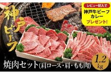 焼肉セット 神戸牛 牛肉 焼肉用 1.2kg【肩ロース 600g+肩・モモ 600g】焼き肉 セット 食べ比べ 牛 肉 霜降り 但馬牛 黒毛和牛 和牛 国産牛 焼肉 やきにく アウトドア キャンプ BBQ 太田牧場 太田牛 神戸ビーフ【但馬牛太田家】【レビューキャンペーン対象商品】