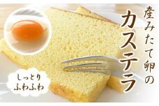 産みたて卵たっぷり！カステラ 1本