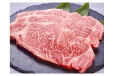 極上但馬牛 サーロインステーキ 500g / 但馬牛 黒毛和牛 霜降り サーロイン ステーキ 赤身 ステーキ肉 焼肉 国産牛 和牛 肉 牛肉 特産品 お祝い ギフト【但馬ビーフはまだ】