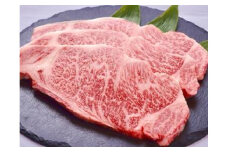 極上但馬牛 サーロインステーキ 1kg / 但馬牛 黒毛和牛 霜降り サーロイン ステーキ 赤身 ステーキ肉 焼肉 国産牛 和牛 肉 牛肉 特産品 お祝い ギフト【但馬ビーフはまだ】