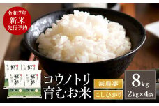 【令和7年産先行予約】新米 減農薬 米 特別栽培米 8kg コウノトリ育むお米 但馬産 こしひかり 兵庫県産(2kg×4袋)（94-003）減農薬 お米 8キロ 精米 白米 コウノトリ米 コシヒカリ 新米 コメ こめ ご飯 ライス 減農薬米