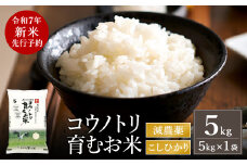 【令和7年産先行予約】新米 減農薬 米 特別栽培米 5kg コウノトリ育むお米 但馬産 こしひかり 兵庫県産 (5kg×1袋)（94-004）減農薬 お米 5キロ 精米 白米 コウノトリ米 コシヒカリ 新米 コメ こめ ご飯 ライス 減農薬米