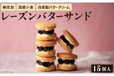 日テレDayDay.で紹介されました キノシタ レーズンバターサンド 15個入り / バターサンド ギフトボックス入り 濃厚 クッキー スイーツ 冷たい おしゃれ お取り寄せ お菓子 レーズンサンド プレゼント 手土産 洋菓子 焼き菓子 プチギフト スイーツ ギフト