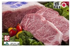 但馬牛 ロースステーキ 5枚（180g/枚）/ 牛肉 ステーキ ロース 霜降り ステーキ肉 但馬牛 黒毛和牛 和牛 国産牛 赤身 ステーキ 牛 肉 焼肉【JAたじま 肉の店本店】