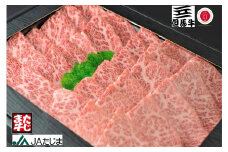 但馬牛 焼肉用 霜降り部位 500g / 牛肉 焼肉 霜降り 赤身 但馬牛 黒毛和牛 和牛 国産牛 焼き肉 牛 肉 やきにく 【JAたじま 肉の店本店】