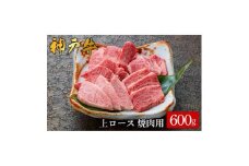 神戸牛 上ロース焼肉 600g（575）/ 焼肉用 牛肉 ロース 霜降り 焼肉 焼き肉 やきにく 赤身 牛 肉 但馬牛 黒毛和牛 国産牛 神戸ビーフ【やまのおかげ屋】