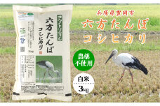 六方たんぼ コシヒカリ 農薬不使用（白米：3kg）令和6年産 / 新米 米 お米 精米 コシヒカリ コウノトリ育む農法