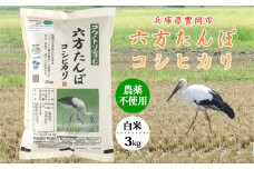 六方たんぼ コシヒカリ 農薬不使用（白米：3kg）令和6年産 / 新米 米 お米 精米 コシヒカリ コウノトリ育む農法