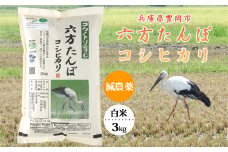 六方たんぼ コシヒカリ 減農薬（白米：3kg）令和6年産 / 新米 米 お米 精米 コシヒカリ コウノトリ育む農法