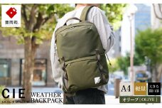 豊岡鞄 CIE WEATHER DAYPACK2 (071955) オリーブ