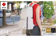 豊岡鞄 CIE WEATHER DAYPACK2 (071955) グレー