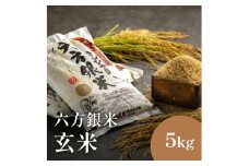 令和6年産 減農薬米 特別栽培米 六方銀米 コシヒカリ 玄米 5kg / 減農薬 玄米 新米 お米 5キロ 米 コウノトリ米 コメ こめ ご飯 ライス こしひかり 兵庫県産
