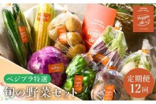 旬の新鮮なお野菜を産地直送！ベジプラ特選 旬の野菜セット【定期便：12回　毎月お届け】 / 野菜 詰め合わせ セット 野菜セット 新鮮 ギフト やさい 苦みが少ない 甘みが強い Veggie de＋