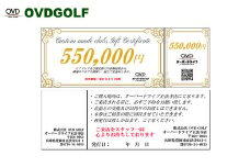 ゴルフ フィッティング + カスタムクラブ チケット 550,000円分 / クーポン券 ゴルフクラブ 制作 取扱いブランド多数 EPON RODDIO MAKINO クラブフィッター オーダーメイド OVD GOLF