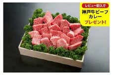 神戸牛 不揃いのサイコロステーキ（ロース・ヒレ・肩ロース・かた・もも 600ｇ）/ 訳あり サイコロステーキ 焼肉用 牛肉 霜降り 黒毛和牛 国産牛 ステーキ ロース 肉 焼肉 焼き肉 神戸ビーフ 太田牧場 TYDS3 【但馬牛太田家】