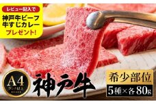 神戸牛 焼肉 希少部位食べ比べ（80g×5種）/ 三角バラ ミスジ とうがらし ひうち まるしん 焼肉 牛肉 密着包装 赤身 霜降り 焼き肉 BBQ 冷凍 国産牛 ブランド牛 黒毛和牛 神戸ビーフ 化粧箱入り ギフト【レビューキャンペーン対象商品】
【帝神志方ミート】