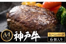 神戸牛 生ハンバーグ （100g×6個）