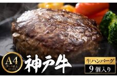 神戸牛 生ハンバーグ （100g×9個）
