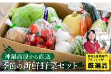 「高原の畑から直送」神鍋高原 季節の新鮮お野菜 詰め合わせセット 充実の5～10品｜ベジタブル＆フルーツアドバイザーがセレクト【兵庫県北部豊岡市にある「道の駅神鍋高原」からお届けします】