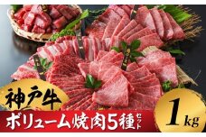 神戸牛 焼肉食べ比べセット 1kg（200g×5種×1パック）