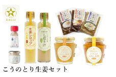 こうのとり生姜セット 9種入り / 刻み生姜の醤油漬け・炊き込みご飯の素・生姜焼きのタレ・生姜シロップ・生姜絞り汁・はちみつおろし生姜・はちみつおろし生姜レモン・蒸し生姜の粉・おろし生姜 / 国産 兵庫県産 こうのとり生姜  ショウガオール しょうが