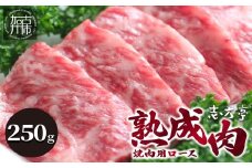  「熟成肉」焼肉(250g)《焼肉 熟成肉 ロース 牛肉 ロース 250g 牛 国産 和牛 おすすめ こだわり セット バーベキュー ブレンド塩 旨味 加古川市》【2402A00405】