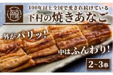 焼あなご(2～3串)《 魚介類 アナゴ 穴子 あなご 焼きあなご 海鮮 天然 ふるさと納税 あなご 加古川市 パリパリ 美味しい 穴子丼 串焼き お取り寄せ 人気 ギフト プレゼント おすすめ 》【2402D00701】