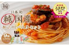 加古川パスタセット《 加古川パスタ パスタ セット パスタセット もちもち食感 ナポリタン ナポリタンソース ソース付き 》【2402H04608】