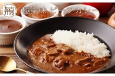 極美味ビーフカレー 4個セット＜レギュラー2個・マイルド2個＞《 おすすめ カレー 人気 レトルト 牛肉 ビーフカレー セット 詰め合わせ お取り寄せ グルメ 送料無料 》【2401I00801】