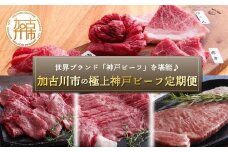 世界ブランド「神戸ビーフ」を堪能♪加古川市の極上神戸ビーフ定期便《 神戸牛 ふるさと納税 自社牧場直送 神戸牛 肉のヒライ 食べ比べ焼肉 焼肉用 すき焼き・しゃぶしゃぶ用 サーロインステーキ 焼肉 しゃぶしゃぶ ステーキ 食べ比べ 》【2430A00123】
