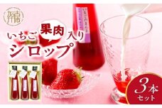 いちご果肉入りシロップ3本セット【いちごミルクの素】《 おすすめ 人気 おいしい くだもの シロップ いちご イチゴ 苺 フルーツ 国産 送料無料 果肉入り 簡単 おやつ お菓子 製菓 グルメ お手軽 いちご てづくり デザート デザートベース ミルクの素 》【2402K09704】