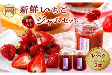 はたやの新鮮いちご＆果肉入りジャムのセット[12月下旬より順次発送]《 ふるさと納税いちご イチゴ 苺 フルーツ工房はたや 高級 フルーツ ジャム 送料無料 》【2401C09702】