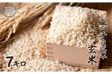 【緑肥作物へアリーベッチ】ベッチの匠米(玄米)7kg【2024年11月下旬より順次発送】《 玄米 7kg お米 玄米 安心 安全 米 おこめ 国産 送料無料 》【2401B02904】