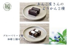 【老舗の味】あんこやさんの「ようかん2種」(ブルーベリー1個・珈琲1個セット)《 珈琲ようかん ブルーベリーようかん ようかん 羊羹 ようかんセット 老舗 お菓子 和菓子 》【2401H05921】