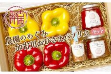 ☆期間限定☆加古川おひさまパプリカ＆ジャム・ソース・ソルト【8月中旬より順次発送】《 パプリカ ジャム ソース ソルト おひさまパプリカ 国産 おすすめ プレゼント 贈答 美味しい 送料無料 》【2401F08201】
