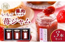 いちご果肉がたっぷりの苺ジャム3本セット《 いちご ジャム 果肉 新鮮 いちごジャム 保存料不使用 》【2401K09703】