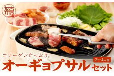 【コラーゲンたっぷり！】オーギョプサル(皮付豚肉)味噌、塩セット(2～4人前)《 肉 豚肉 豚 オーギョプサル 自家製キムチ 巻き野菜付き セット 》【2302A09911】