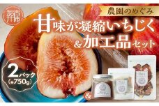 期間限定【農園のめぐみ】甘味が凝縮いちじく750g×2・いちじく加工品セット《 数量限定 限定 果物 くだもの フルーツ いちじく 無花果 送料無料 》【2402C08211】
