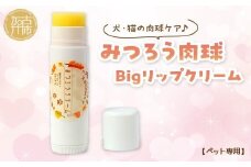【ペット専用】みつろう肉球クリーム Bigリップクリーム 《 ペットグッズ 犬 ケア みつろう リップクリーム クリーム ホホバオイル 》【2400N13310】