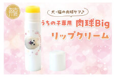 うちの子専用肉球 Bigリップクリーム 《 ペットグッズ 愛犬 ケア 国産みつろう100% オーガニック スティックタイプ 大容量 ホホバオイル 》【2400N13313】