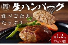 【食べ応えたっぷり！】自家製生ハンバーグ200g×6個《 惣菜 ハンバーグ 肉 小分け 簡単調理 冷凍 自家製 牛ミンチ 》【2401I09916】