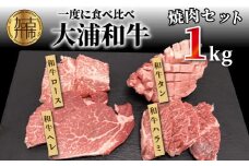 ★選べる配送月★【11月発送】大浦和牛焼肉セット(1kg)《 牛肉 牛 国産 焼肉 セット おすすめ ロース 美味しい 牛タン ハラミ ヘレ フィレ ヒレ ヒレ肉 食べ比べ バーベキュー 》【2405A00206-11】