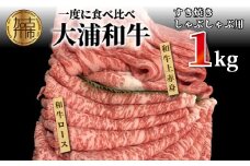 ★選べる配送月★【11月発送】大浦和牛すきやき・しゃぶセット(1kg)《 牛肉 牛 国産 すき焼き しゃぶしゃぶ セット おすすめ ロース 赤身 美味しい 食べ比べ 》【2405A00207-11】