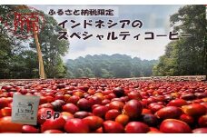 【ふるさと納税限定】インドネシアのスペシャルティコーヒー(ドリップパック)《 コーヒー ドリップパック 焙煎 Kotobuki焙煎 》【2400G11704】