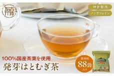 発芽はとむぎ茶 業務用《 ハトムギ茶 国産 はと麦茶 お茶 国産茶葉 ノンカフェイン 》【2400G15101】