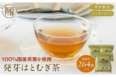 発芽はとむぎ茶 業務用3袋セット《 ハトムギ茶 国産 はと麦茶 お茶 セット 国産茶葉 ノンカフェイン 》【2401G15102】