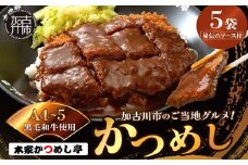 本家かつめし亭のかつめし(5食入り)《 かつめし 本家かつめし亭 デミグラスソース おいしい 洋食 おすすめ 》【2402I05601】